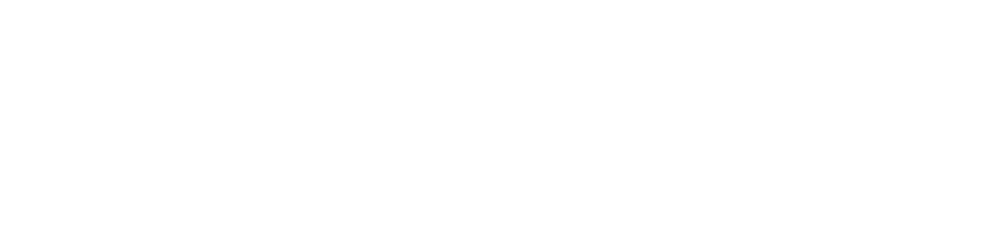 SFS Suomen Standardit